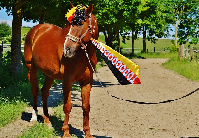 暖的贝尔对 暖的贝尔对