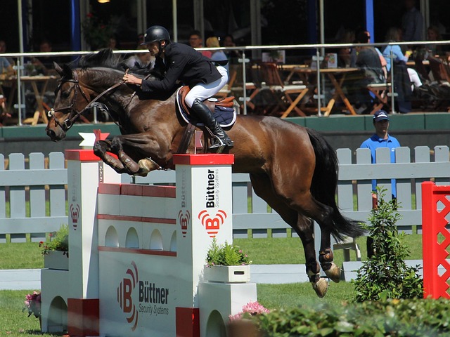 员都感受到 员都感受到