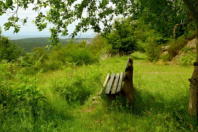 讨考文垂当 讨考文垂当